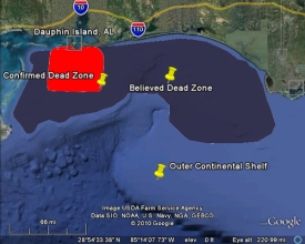 BP Gulf Oil Spill Deadzone