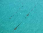 NOAA Says BP Gulf Oil Spill No Threat To Florida Keys But Aerial Photos Show Oil In The Keys