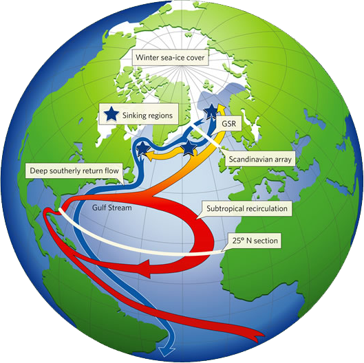 Global Map of the Gulf Stream And Ocean Current Flows